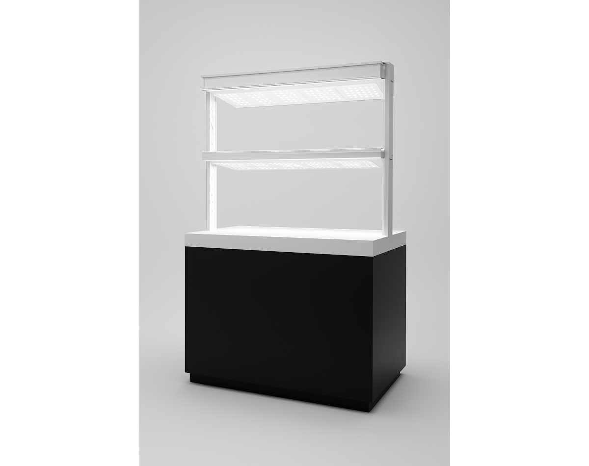 ASANSÖRLÜ VİTRİN KASA